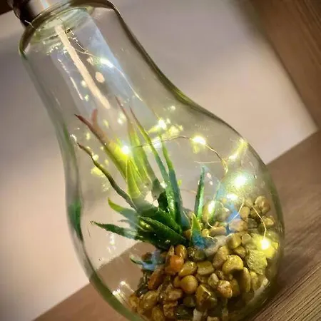 Apartament Studio Carol - Rond Baba Novac