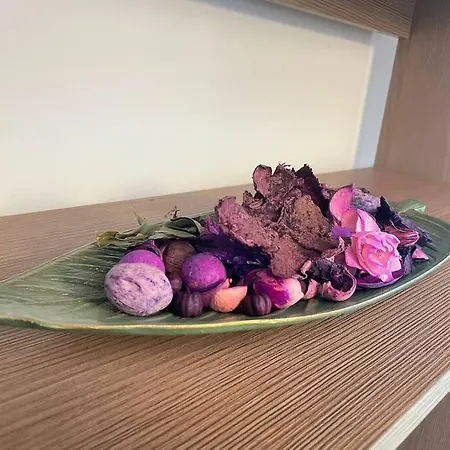 Studio Carol - Rond Baba Novac Apartmán *