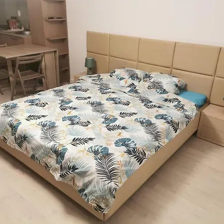 Studio Carol - Rond Baba Novac