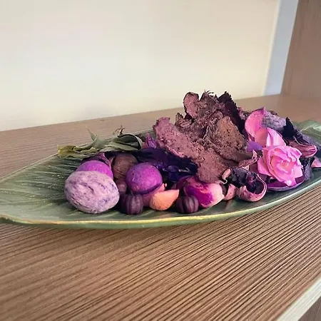 Studio Carol - Rond Baba Novac Apartament *