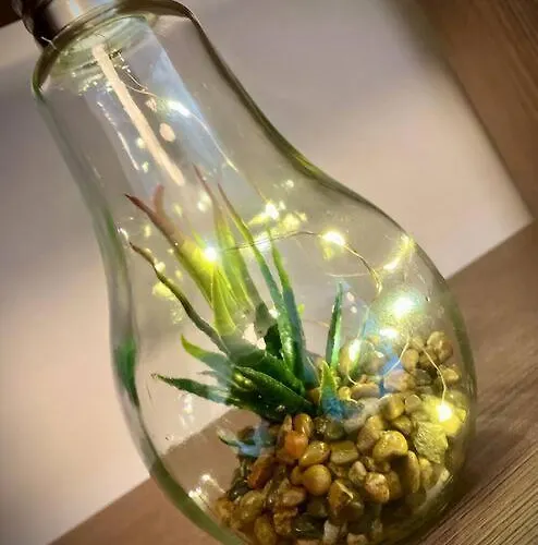 Apartmán Studio Carol - Rond Baba Novac