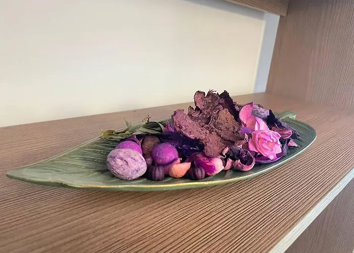 Studio Carol - Rond Baba Novac Apartament *