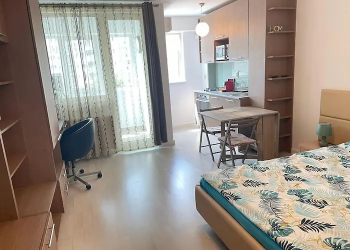 Studio Carol - Rond Baba Novac *