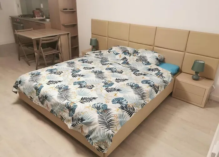 Studio Carol - Rond Baba Novac