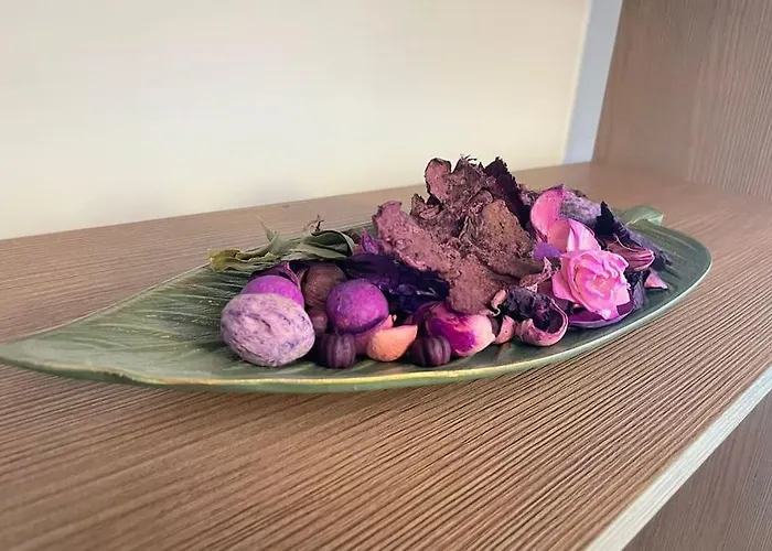 Studio Carol - Rond Baba Novac Apartament *